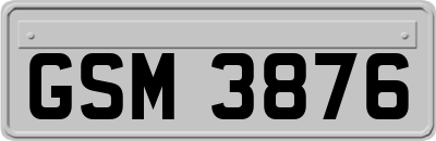 GSM3876