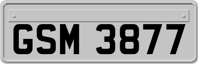 GSM3877