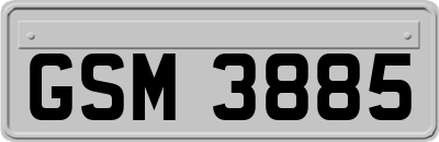 GSM3885