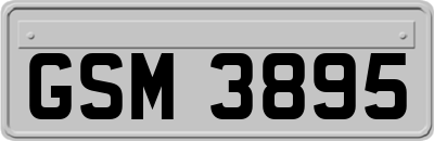 GSM3895