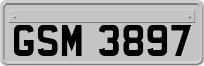 GSM3897