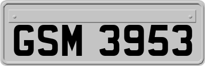 GSM3953