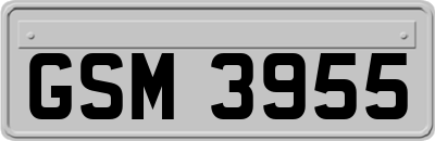 GSM3955