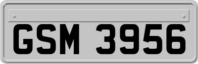 GSM3956