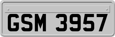 GSM3957