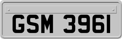 GSM3961