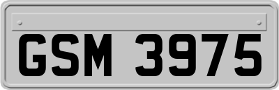 GSM3975