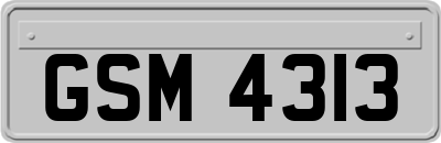GSM4313
