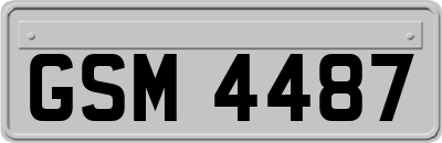 GSM4487