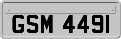 GSM4491