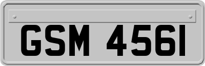GSM4561