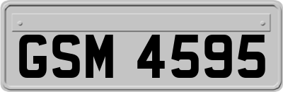 GSM4595