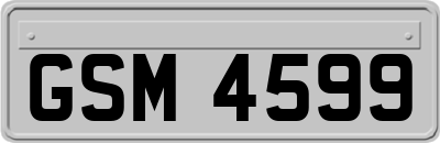 GSM4599