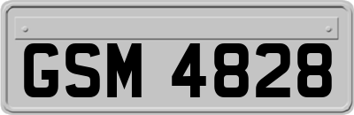 GSM4828