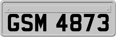 GSM4873