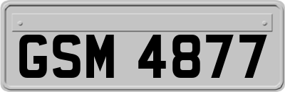 GSM4877