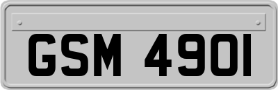 GSM4901