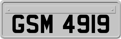 GSM4919
