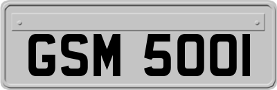 GSM5001