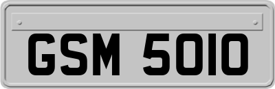GSM5010