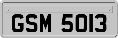 GSM5013