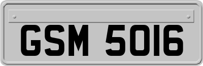 GSM5016