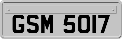 GSM5017