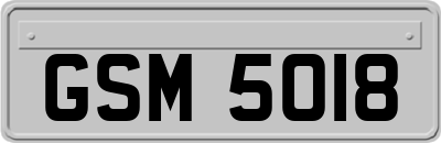 GSM5018
