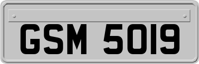 GSM5019