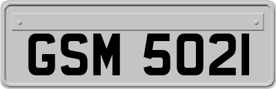 GSM5021