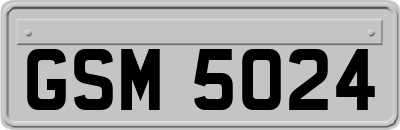 GSM5024
