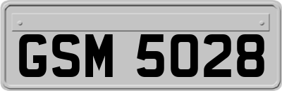 GSM5028