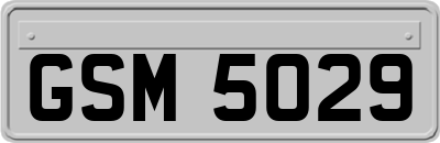 GSM5029