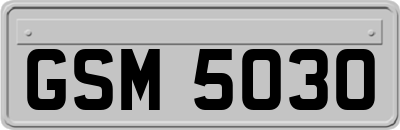 GSM5030