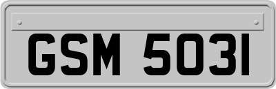 GSM5031