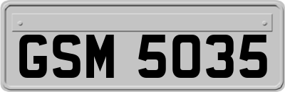 GSM5035