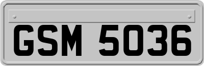 GSM5036
