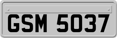 GSM5037