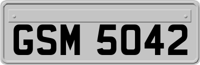 GSM5042