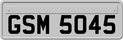 GSM5045