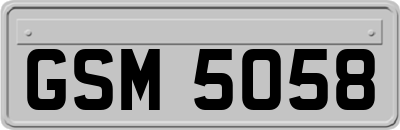 GSM5058