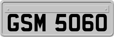 GSM5060
