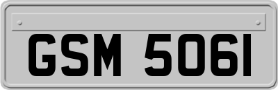 GSM5061