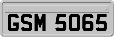GSM5065