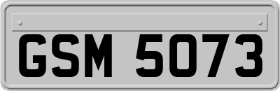 GSM5073