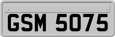GSM5075