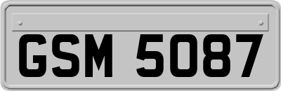 GSM5087