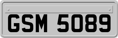 GSM5089