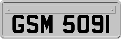 GSM5091