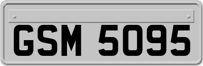 GSM5095